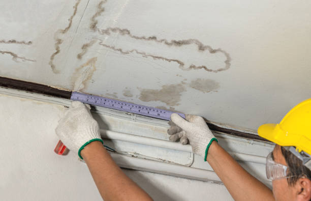 Reliable Structural Drying contractor in Saint Helen, MI by Water Damage Irwin